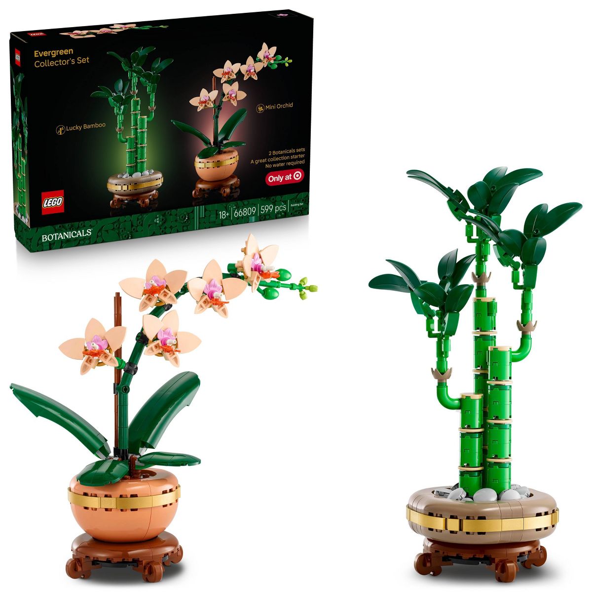 LEGO Botanicals Evergreen Collector’s Set for Gifting and Home Decor 66809
