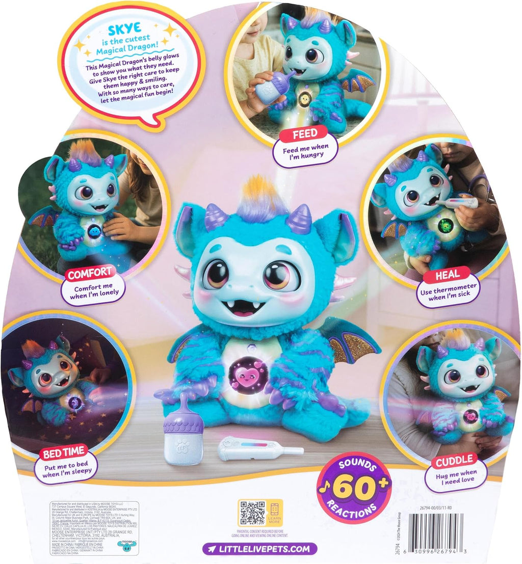 Magical Dragon Toy