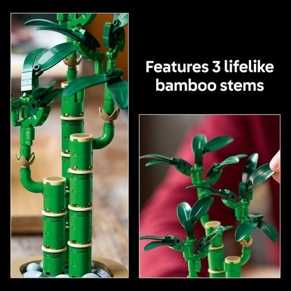 LEGO Botanicals Lucky Bamboo Building Set for Adults, Decor for Home or Office 10344