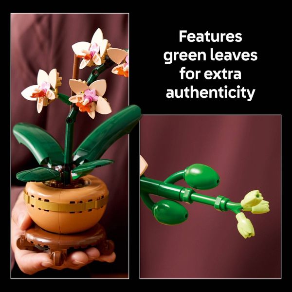LEGO Botanicals Evergreen Collector’s Set for Gifting and Home Decor 66809