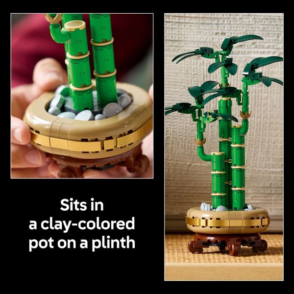 LEGO Botanicals Lucky Bamboo Building Set for Adults, Decor for Home or Office 10344