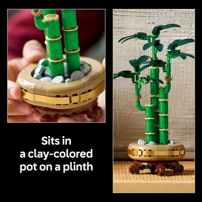 LEGO Botanicals Lucky Bamboo Building Set for Adults, Decor for Home or Office 10344