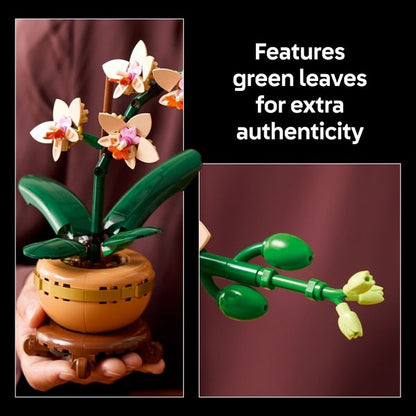 LEGO Botanicals Mini Orchid Building Set for Adults, Decor for Home or Office 10343