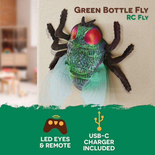 TERRA by Battat Remote Control Insect: Housefly Robot